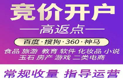 XX行业竞价广告的投放策略与效果分析